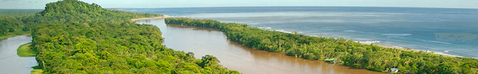 Tortuguero Flights