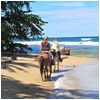 actv_Horseback-Riding-copy.jpg