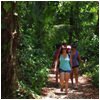 actv_Jungle-Hike.jpg