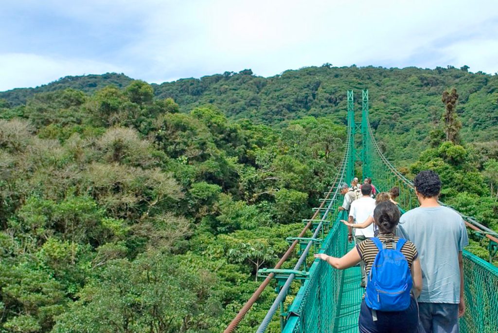 Zipline Costa Rica – The Perfect Fun-Filled Adventure zipline 04 1024x686 - Zipline Costa Rica – The Perfect Fun-Filled Adventure