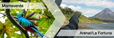 c2a82f 7cb32c3d6a3c41c995df164cb1a56018 - Adventure Monteverde