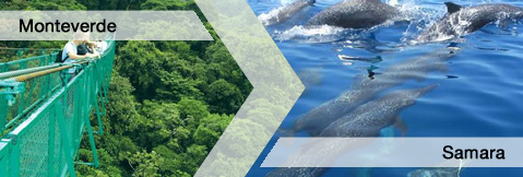 c2a82f ae55ef6905e5494fbbb646ba4e7031c8~mv2 - Adventure Monteverde